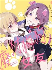 海贼王漫画卡片